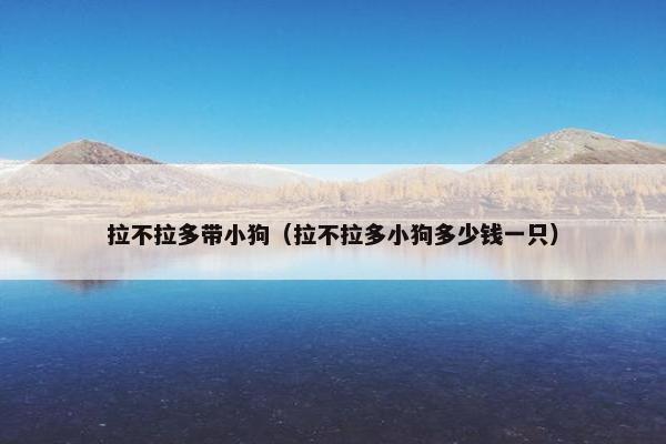 拉不拉多带小狗（拉不拉多小狗多少钱一只）