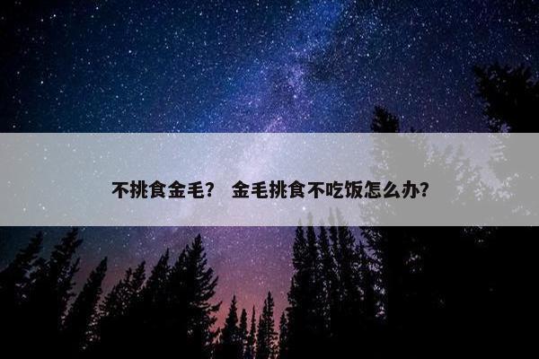 不挑食金毛？ 金毛挑食不吃饭怎么办？