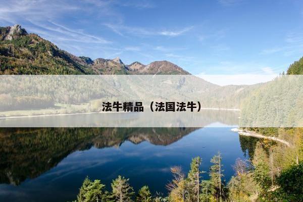 法牛精品（法国法牛）