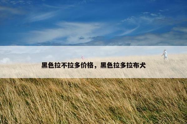 黑色拉不拉多价格，黑色拉多拉布犬