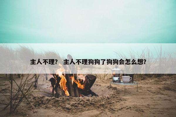 主人不理？ 主人不理狗狗了狗狗会怎么想？