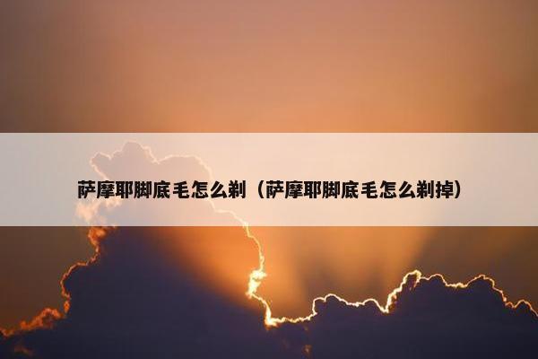 萨摩耶脚底毛怎么剃（萨摩耶脚底毛怎么剃掉）