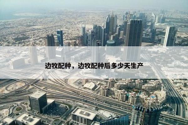 边牧配种，边牧配种后多少天生产