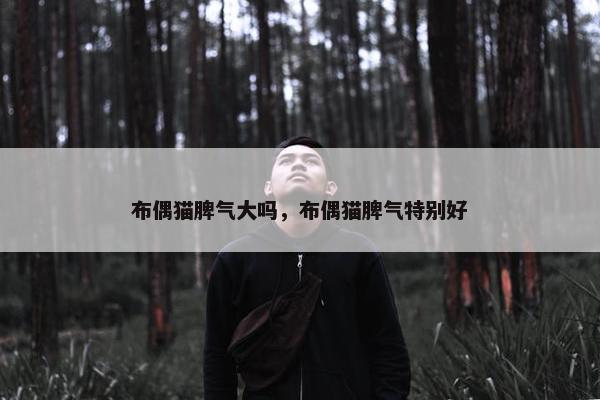 布偶猫脾气大吗，布偶猫脾气特别好