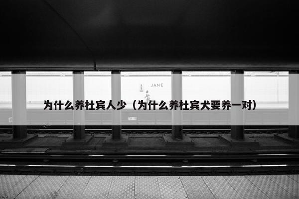 为什么养杜宾人少（为什么养杜宾犬要养一对）