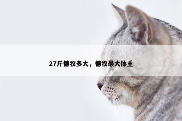 27斤德牧多大，德牧最大体重