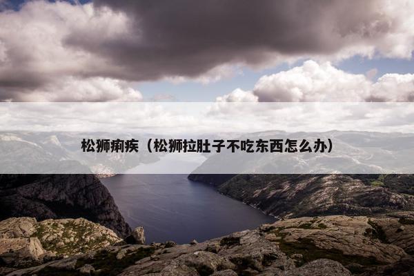 松狮痢疾（松狮拉肚子不吃东西怎么办）