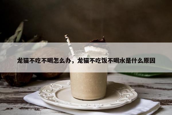 龙猫不吃不喝怎么办，龙猫不吃饭不喝水是什么原因