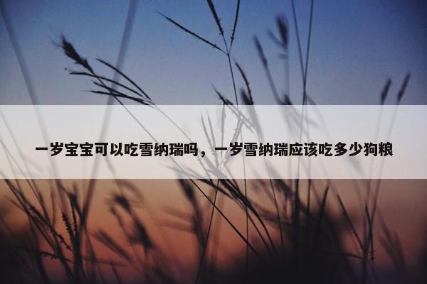 一岁宝宝可以吃雪纳瑞吗,一岁雪纳瑞应该吃多少狗粮 一岁宝宝可以吃雪纳瑞吗,一岁雪纳瑞应该吃多少狗粮