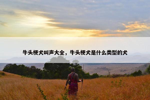 牛头梗犬叫声大全，牛头梗犬是什么类型的犬