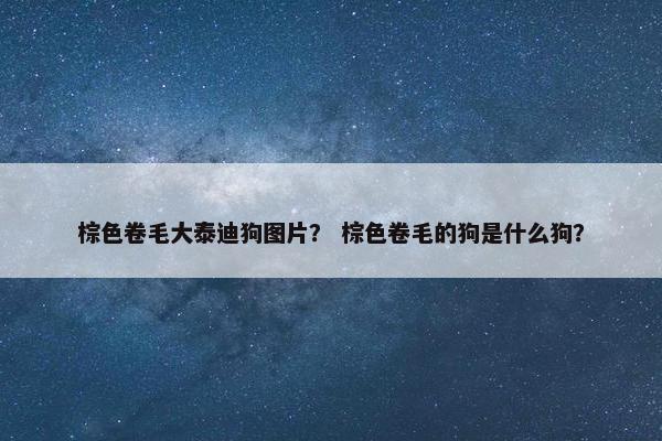 棕色卷毛大泰迪狗图片？ 棕色卷毛的狗是什么狗？