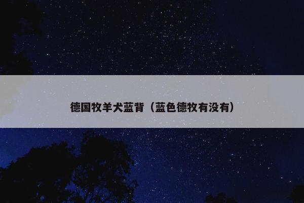 德国牧羊犬蓝背（蓝色德牧有没有）