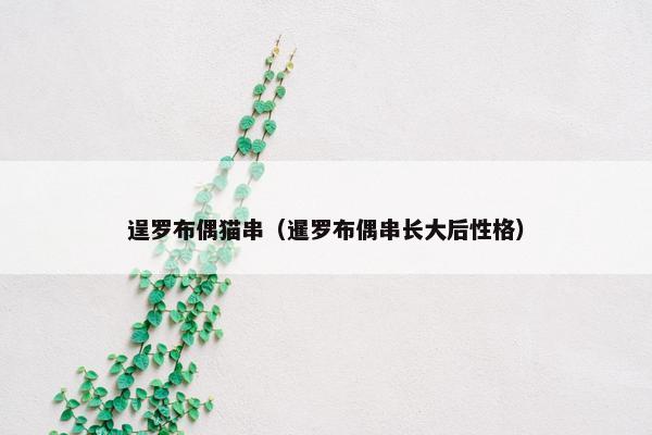 逞罗布偶猫串（暹罗布偶串长大后性格）