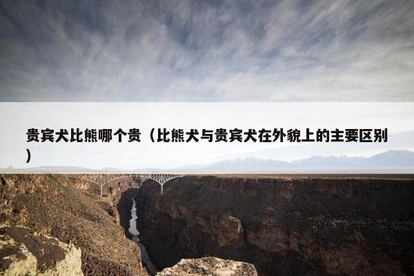 贵宾犬比熊哪个贵（比熊犬与贵宾犬在外貌上的主要区别）