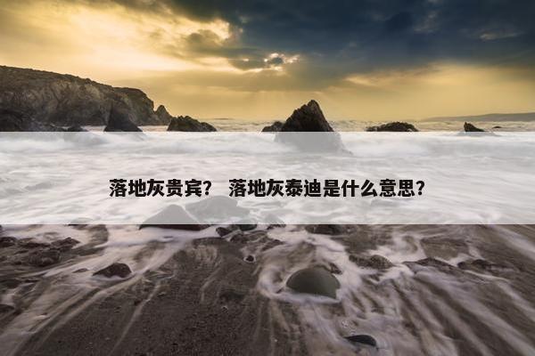 落地灰贵宾？ 落地灰泰迪是什么意思？