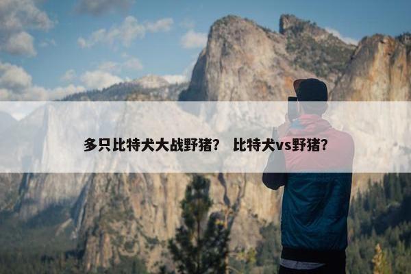 多只比特犬大战野猪？ 比特犬vs野猪？