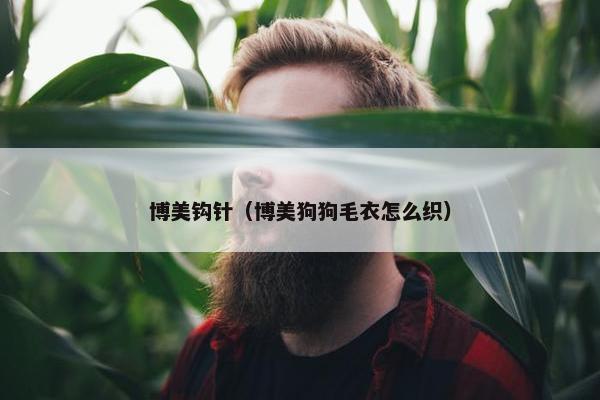 博美钩针（博美狗狗毛衣怎么织）