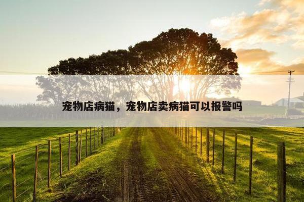 宠物店病猫，宠物店卖病猫可以报警吗