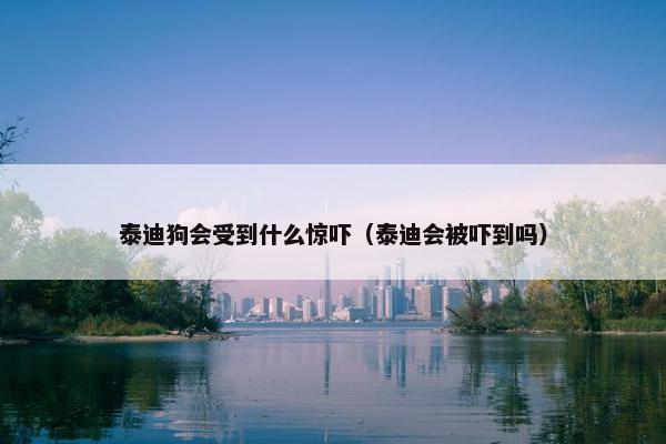 泰迪狗会受到什么惊吓（泰迪会被吓到吗）