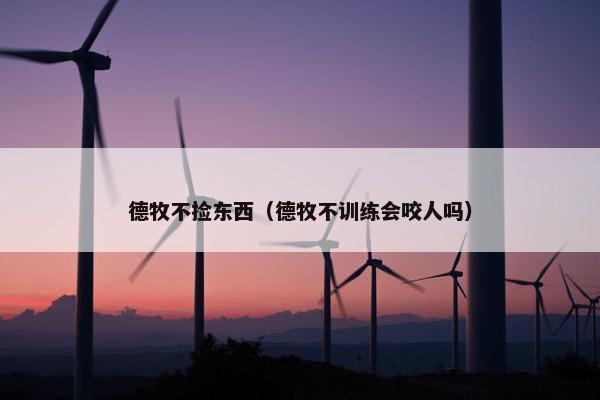 德牧不捡东西（德牧不训练会咬人吗）