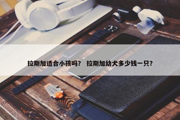 拉斯加适合小孩吗？ 拉斯加幼犬多少钱一只？