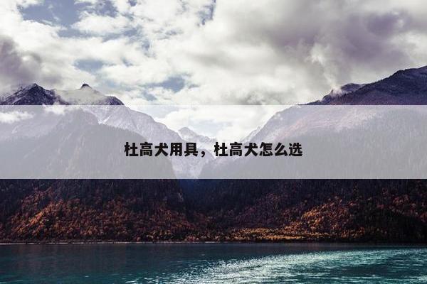 杜高犬用具，杜高犬怎么选