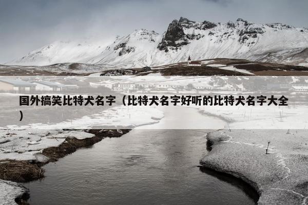 国外搞笑比特犬名字（比特犬名字好听的比特犬名字大全）