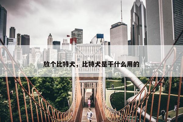 放个比特犬，比特犬是干什么用的