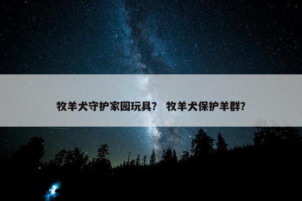 牧羊犬守护家园玩具？ 牧羊犬保护羊群？