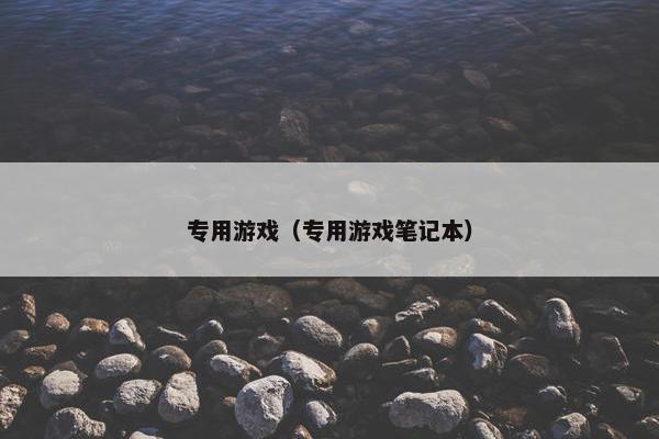 专用游戏（专用游戏笔记本）