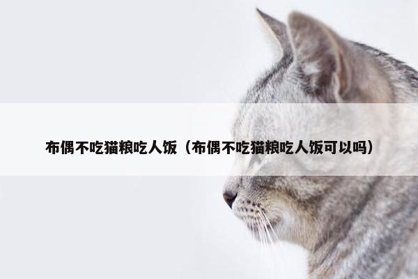 布偶不吃猫粮吃人饭（布偶不吃猫粮吃人饭可以吗）