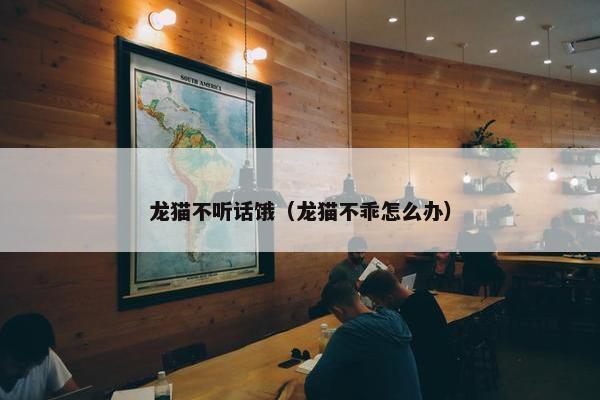 龙猫不听话饿（龙猫不乖怎么办）