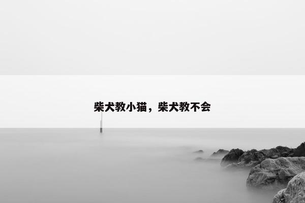 柴犬教小猫，柴犬教不会