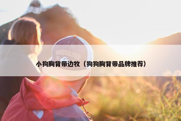 小狗胸背带边牧（狗狗胸背带品牌推荐）