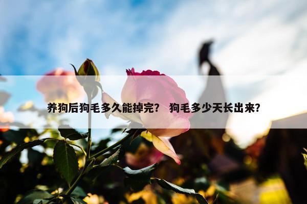 养狗后狗毛多久能掉完？ 狗毛多少天长出来？