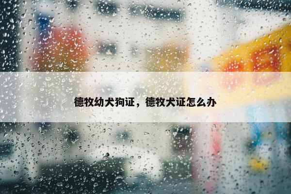 德牧幼犬狗证，德牧犬证怎么办