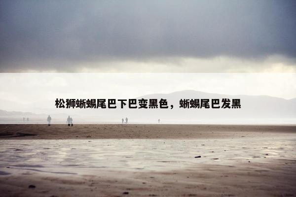 松狮蜥蜴尾巴下巴变黑色，蜥蜴尾巴发黑
