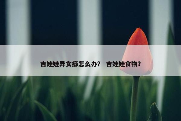 吉娃娃异食癖怎么办？ 吉娃娃食物？