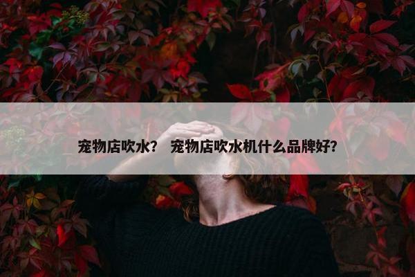 宠物店吹水？ 宠物店吹水机什么品牌好？