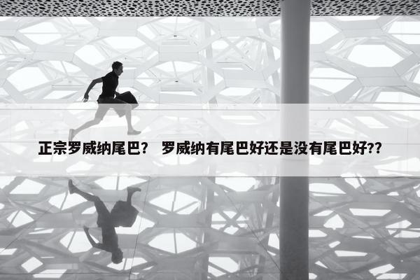 正宗罗威纳尾巴？ 罗威纳有尾巴好还是没有尾巴好?？