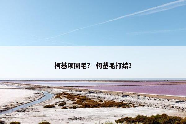 柯基项圈毛？ 柯基毛打结？