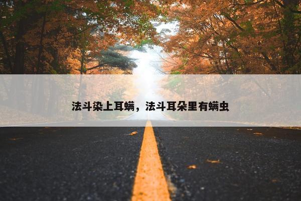 法斗染上耳螨，法斗耳朵里有螨虫
