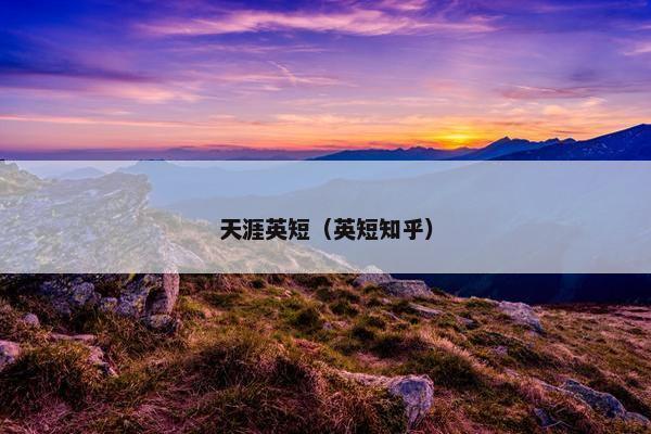 天涯英短（英短知乎）