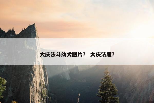 大庆法斗幼犬图片？ 大庆法度？