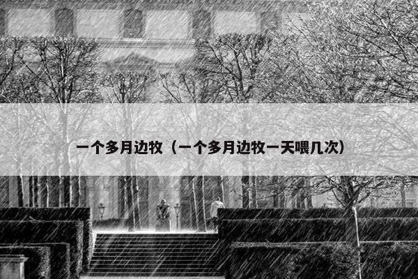 一个多月边牧（一个多月边牧一天喂几次）