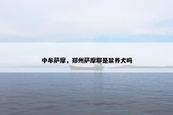 中牟萨摩，郑州萨摩耶是禁养犬吗
