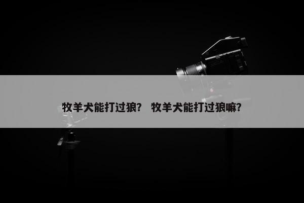 牧羊犬能打过狼？ 牧羊犬能打过狼嘛？