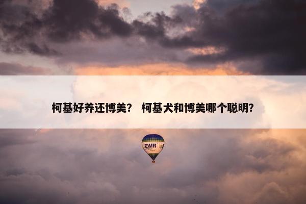 柯基好养还博美？ 柯基犬和博美哪个聪明？