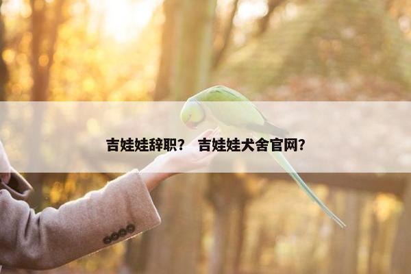 吉娃娃辞职？ 吉娃娃犬舍官网？