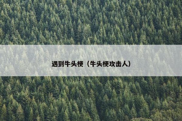 遇到牛头梗（牛头梗攻击人）